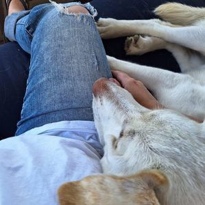 Meet your Posher, Maria